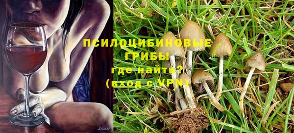 а пвп мука Бородино