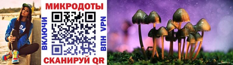 Купить где  Буй  Галлюциногенные грибы Psilocybine cubensis 