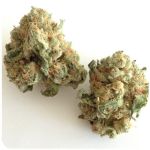 Шишки "White Widow"  (Белая вдова)  Гидропоника -  Бошка VHQ в Буе